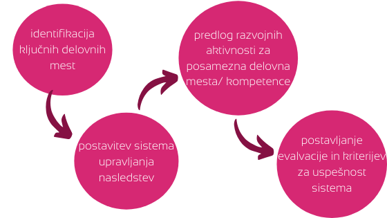 sistem nasledstev