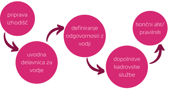 sistemizacija delovnih mest